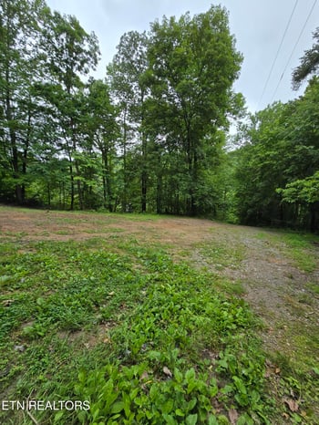 689 Ivey Hollow Rd, Lafollette, TN 37766