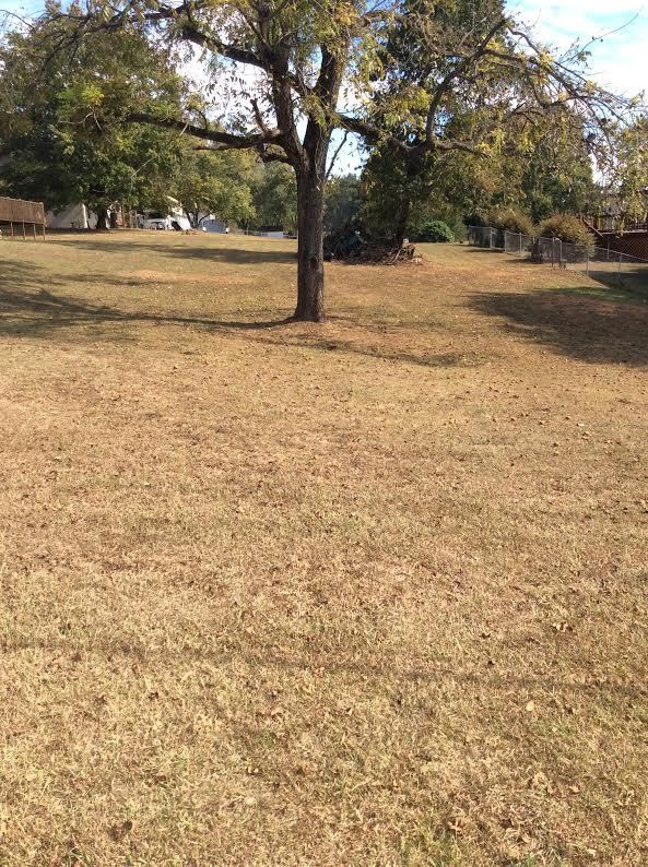 6900 Charlotte Dr, Knoxville, TN 37924