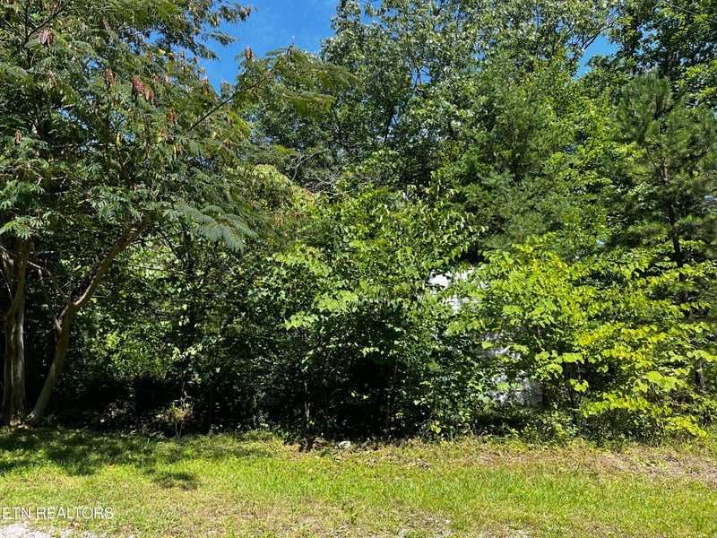 6910 Holiday Hill Ln, Tallassee, TN 37878