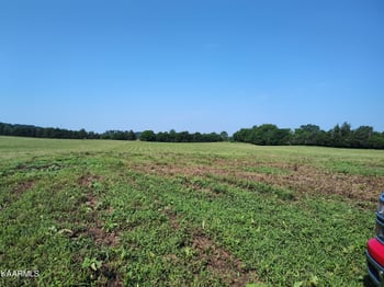 6985 Craigs Chapel Rd, Greenback, TN 37742