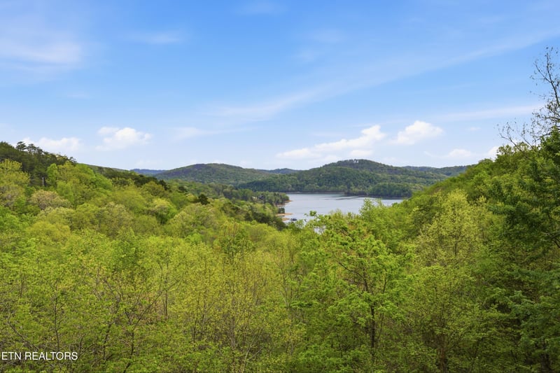 699 Lakeview Dr, Sharps Chapel, TN 37866