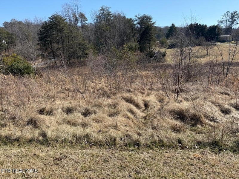 7 Crockett Lake Dr, Crossville, TN 38572