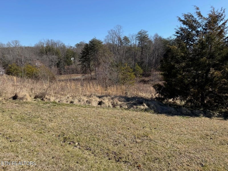 7 Crockett Lake Dr, Crossville, TN 38572