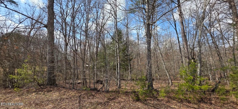 7 Cumberland Lakes Dr, Monterey, TN 38574