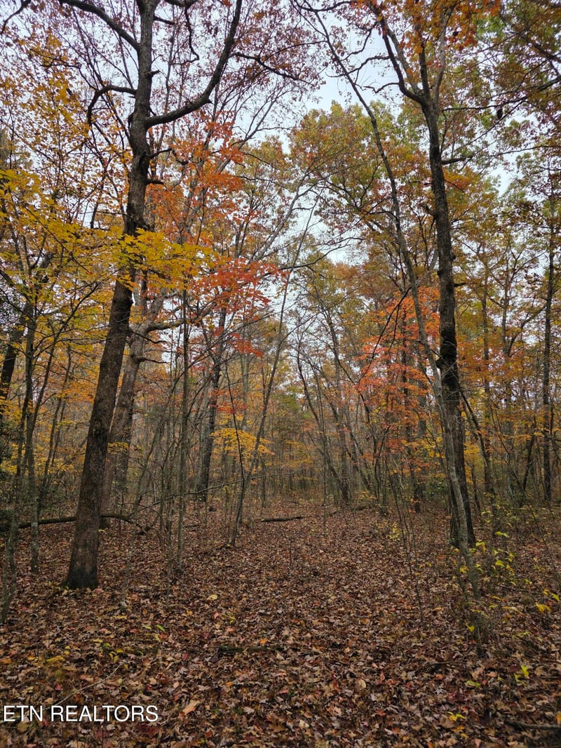 7 Divide Tr, Monterey, TN 38574