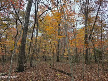 7 Divide Tr, Monterey, TN 38574
