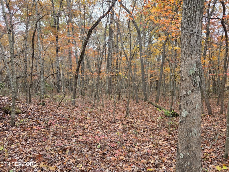 7 Divide Tr, Monterey, TN 38574