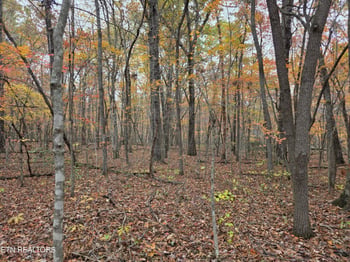 7 Divide Tr, Monterey, TN 38574