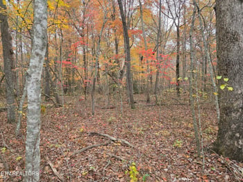 7 Divide Tr, Monterey, TN 38574