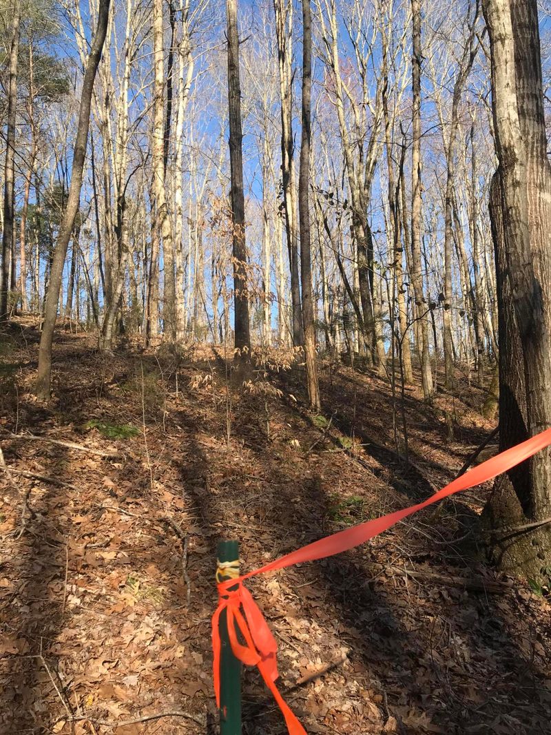 7.13 Acres County Road 477, Englewood, TN 37329
