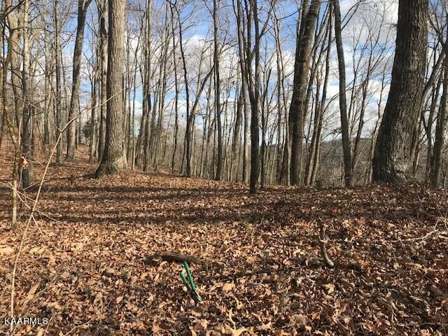 7.1ac Highway 68, Niota, TN 37826