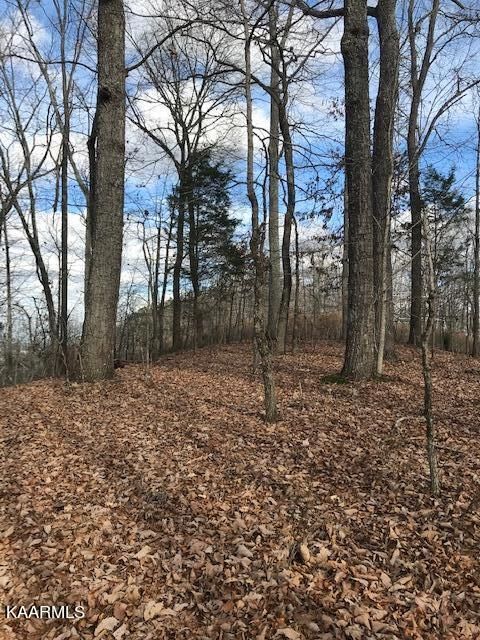 7.1ac Highway 68, Niota, TN 37826
