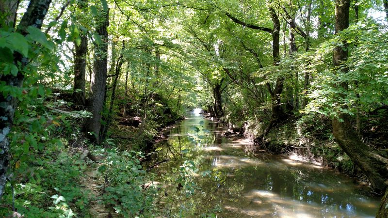 7.24 Ac Co Rd 906, Etowah, TN 37331