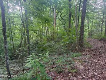 7.36 Acres Panther Creek Rd Off Rd, Sevierville, TN 37876