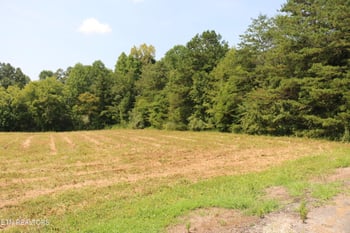 7.6 Acres Chestuee Ave, Englewood, TN 37329