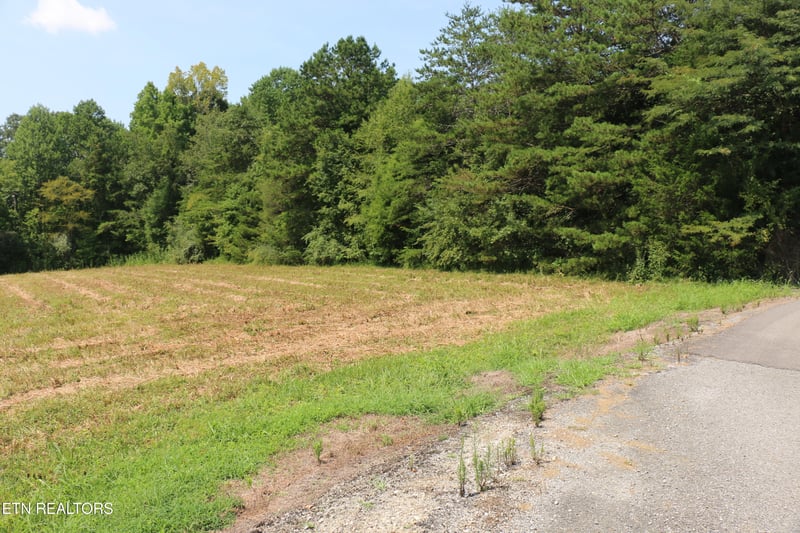 7.6 Acres Chestuee Ave, Englewood, TN 37329