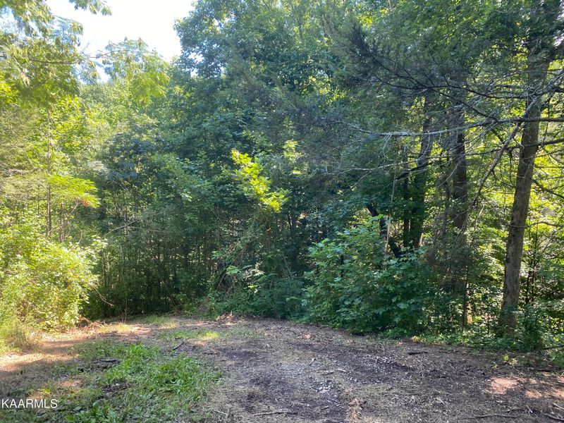 7.85 Acres Knoll Top Way #Tr12, Sevierville, TN 37876