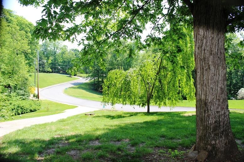70 Chestnut Drive Rd, Norris, TN 37828