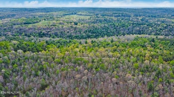 70.69 Acres Old Collins Rd, Deer Lodge, TN 37726