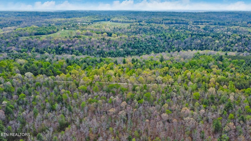 70.69 Acres Old Collins Rd, Deer Lodge, TN 37726