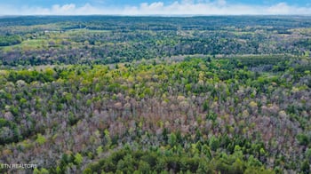 70.69 Acres Old Collins Rd, Deer Lodge, TN 37726