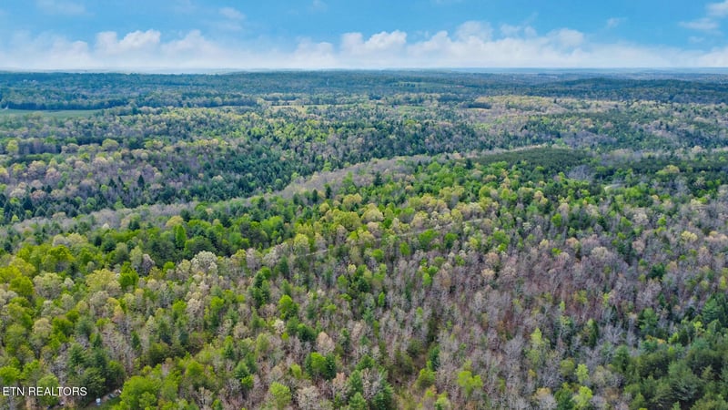 70.69 Acres Old Collins Rd, Deer Lodge, TN 37726
