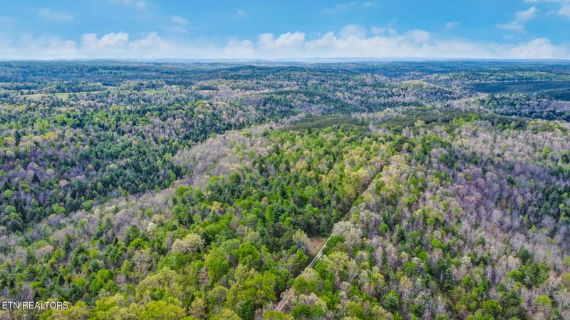 70.69 Acres Old Collins Rd, Deer Lodge, TN 37726