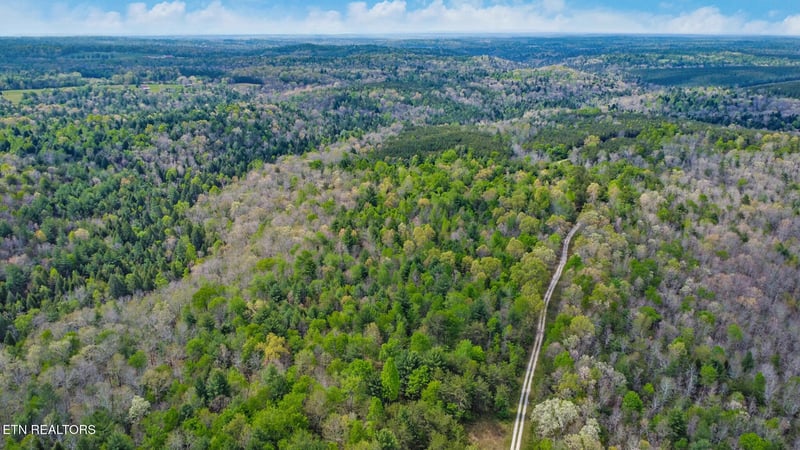 70.69 Acres Old Collins Rd, Deer Lodge, TN 37726
