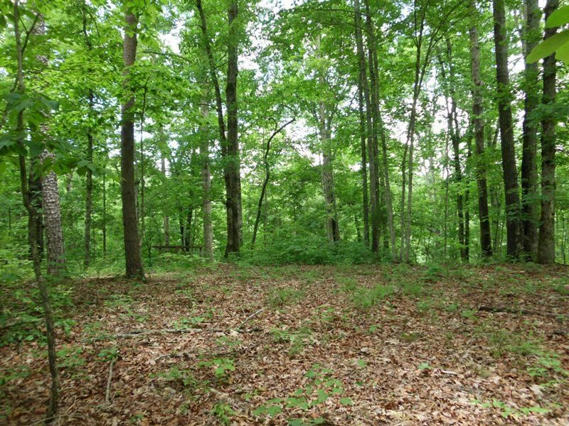 700 Three Point Rd, Vonore, TN 37885