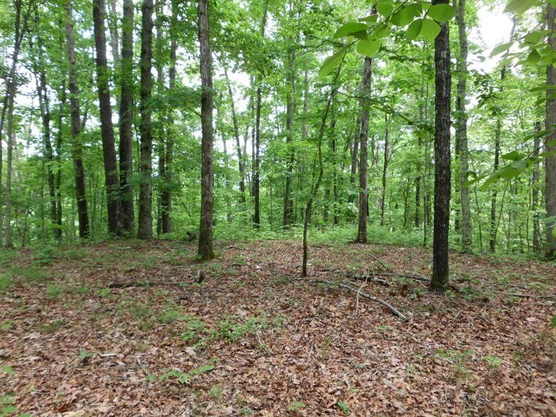 700 Three Point Rd, Vonore, TN 37885