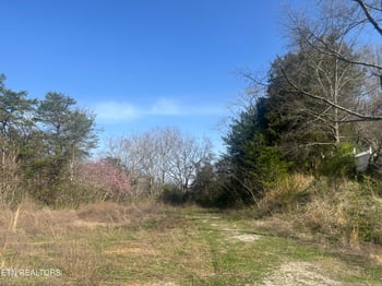 701 Old Witt Rd, Morristown, TN 37813