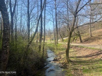 701 Old Witt Rd, Morristown, TN 37813