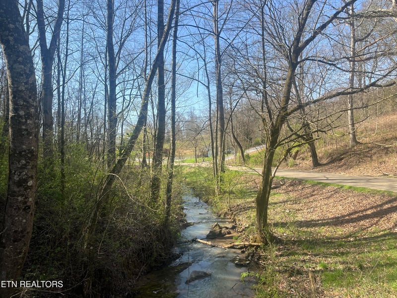 701 Old Witt Rd, Morristown, TN 37813