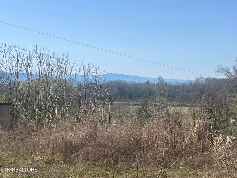 701 Old Witt Rd, Morristown, TN 37813
