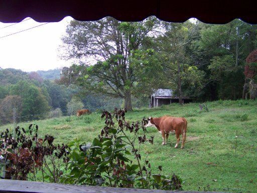 7011 Wood Rd, Corryton, TN 37721