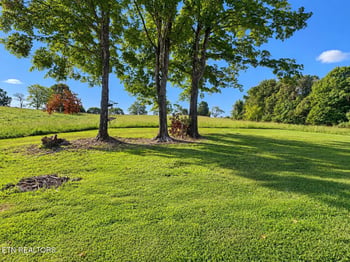702 N Kingston Ave, Rockwood, TN 37854