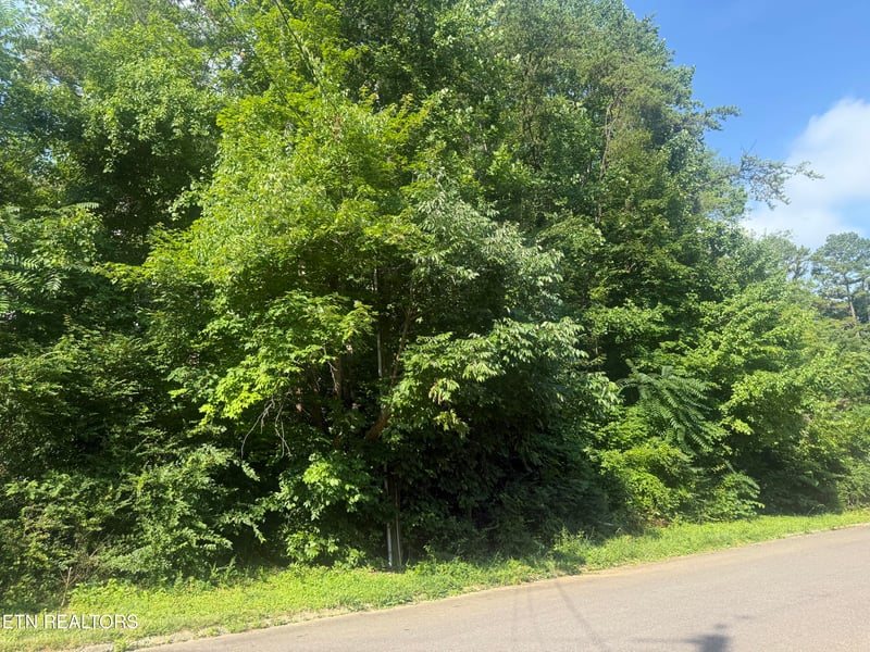 7021 Shalidar Dr, Knoxville, TN 37921