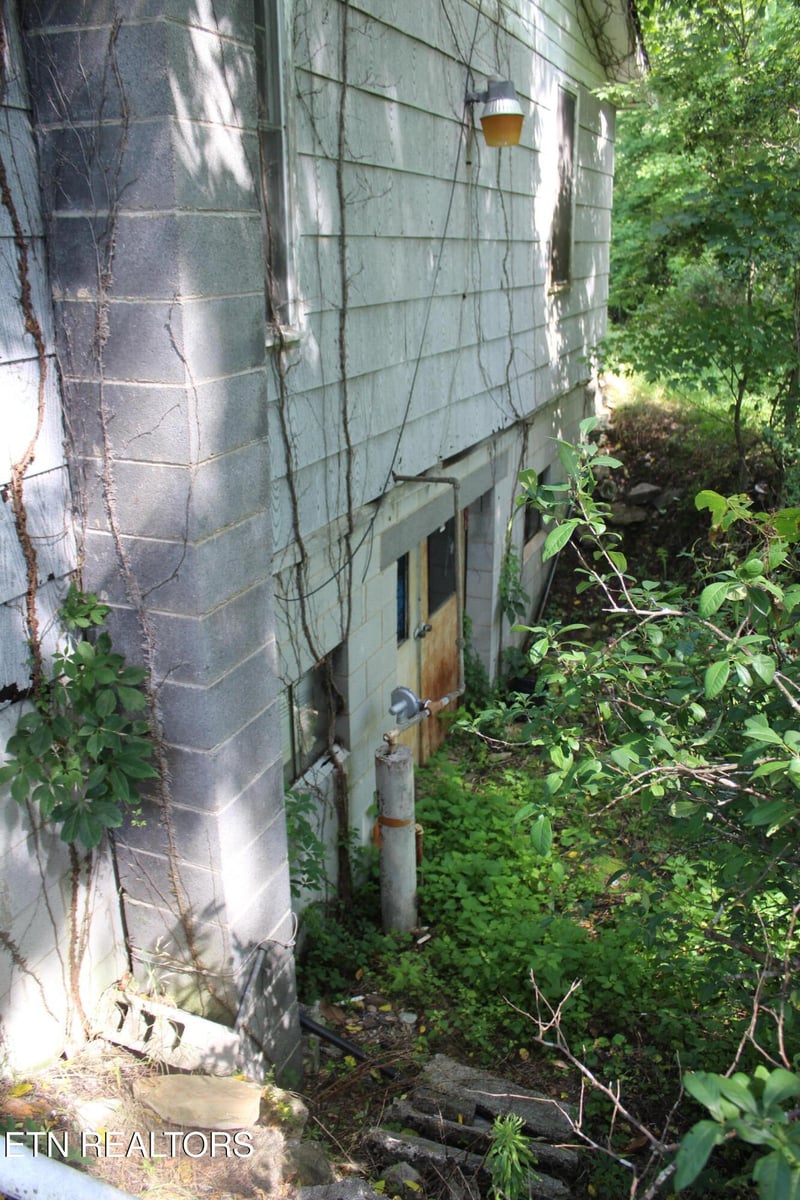 704 Annadell Rd, Lancing, TN 37770