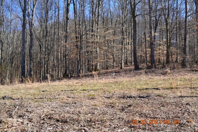 704 Irwin Dr, Powell, TN 37849