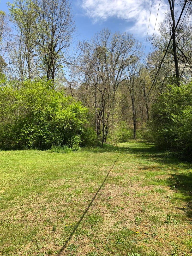 704 Irwin Rd, Powell, TN 37849