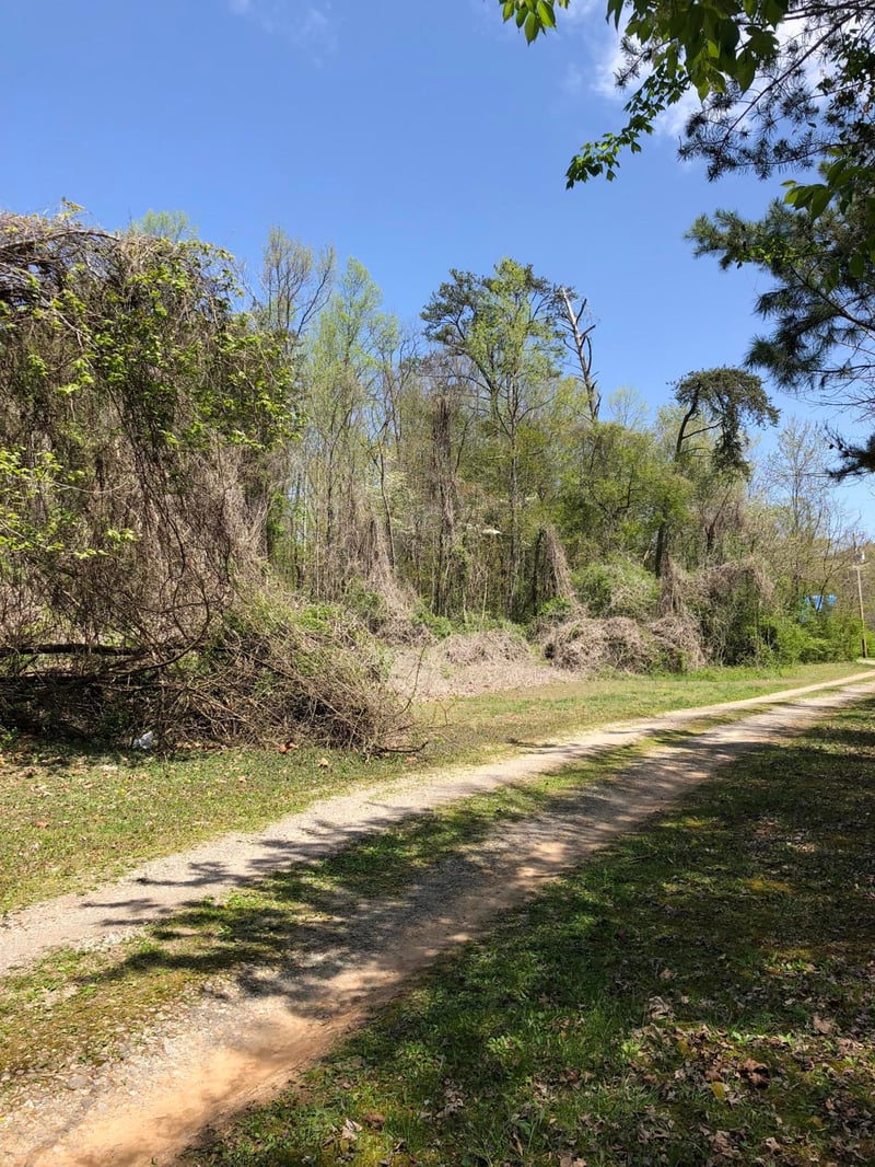 704 Irwin Rd, Powell, TN 37849