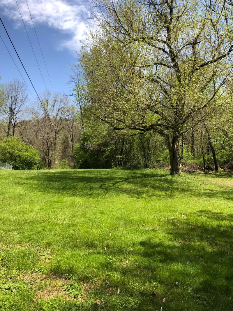 704 Irwin Rd, Powell, TN 37849