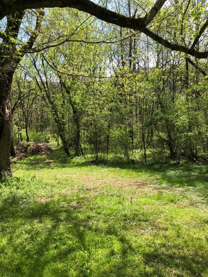 704 Irwin Rd, Powell, TN 37849