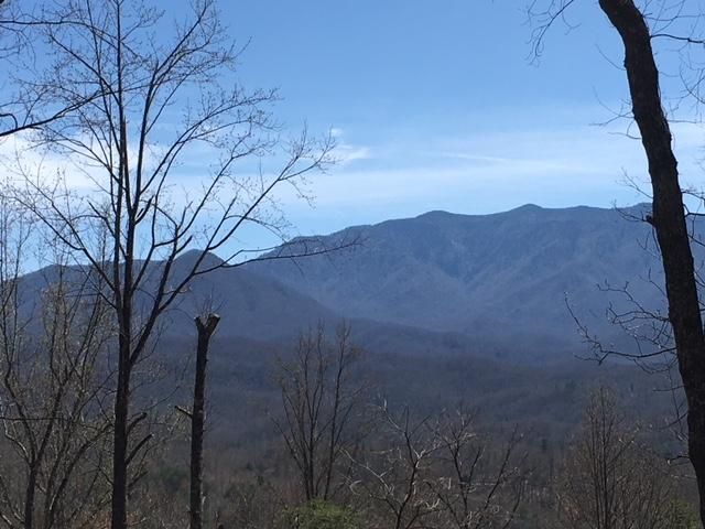 704 Maples Ct, Gatlinburg, TN 37738