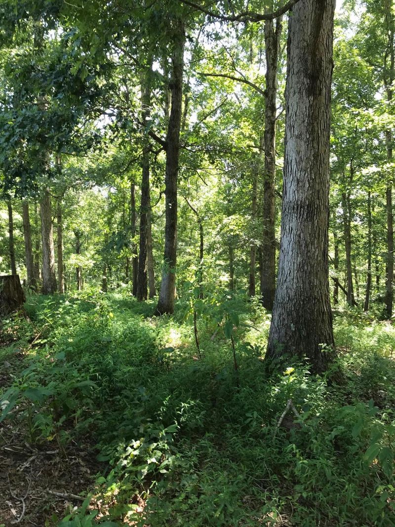 7085 Simpson Rd, Loudon, TN 37774