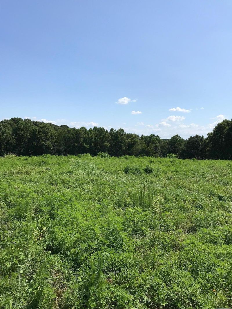 7085 Simpson Rd, Loudon, TN 37774