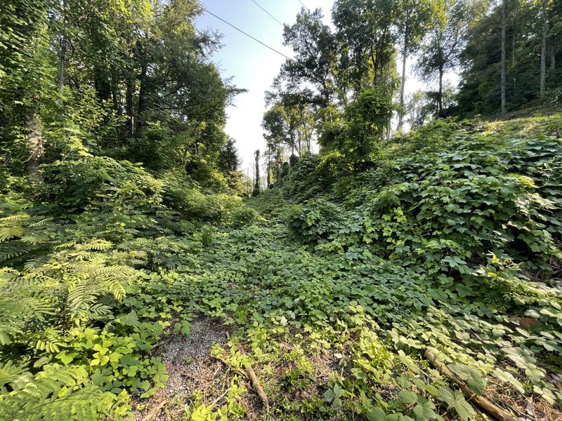 709 Windswept Rd, Gatlinburg, TN 37738