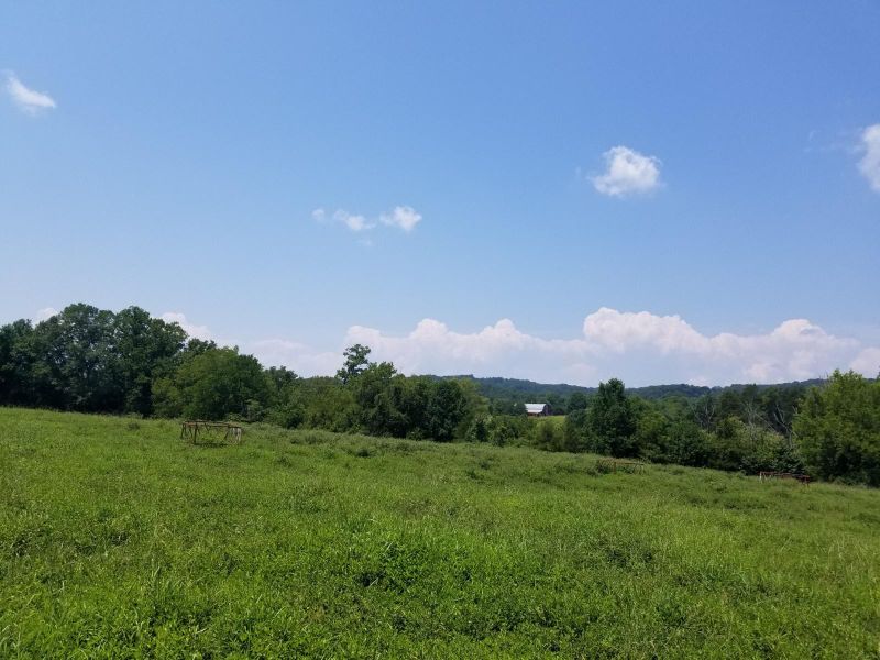 7101 Breazeale Rd, Lenoir City, TN 37771