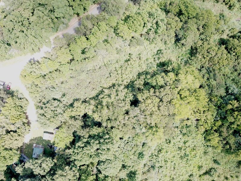 711 Clear Branch Rd, Loudon, TN 37774