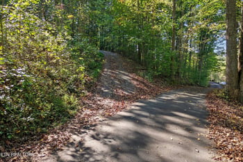 7112 Warren Ln, Corryton, TN 37721